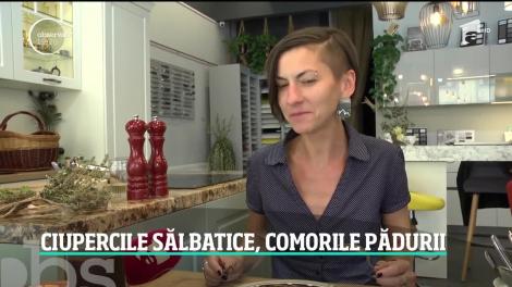 Ciupercile sălbatice, comorile pădurii