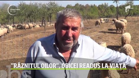 Un obicei vechi, păstrat de ciobanii din Banat din moşi-strămoşi, e împărtăşit astăzi tinerilor şi copiilor