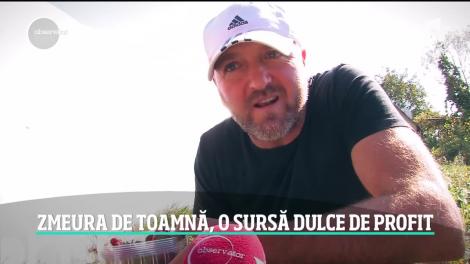 Zmeura de toamnă, o sursă dulce de profit