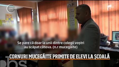 Cornuri mucegăite primite de elevii din Vâlcea! A început o anchetă în tot județul: „l-am dat la câini”