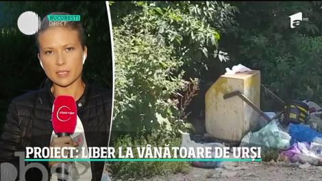 Urşii ar putea fi vânaţi la liber!