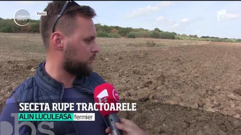 Seceta face ravagii în multe judeţe din ţară