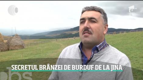 Brânza de burduf este o delicatesă pe care o vânăm în magazie. Culmea este că la stănă, acolo unde este preparată, este mai scumpă decât în comerţ