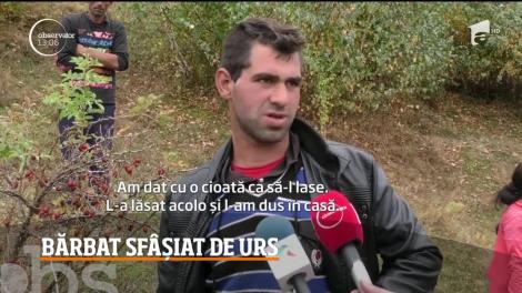 Bărbat din Covasna, sfâșiat de un urs care îi intrase în curte! Oamenii sunt terorizați: „Era pe el grămadă, dădea cu ghearele!”