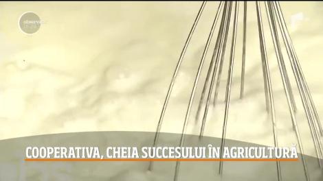 Cooperativa, chegia succesului în agricultură