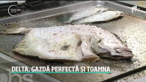 Delta Dunării, locul perfect pentru o vacanță de vis toamna