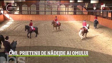 Dracula Horse Festival, în Mureş