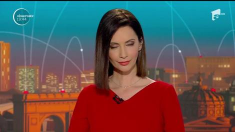 Dansul pinguinului pe șantier, în timp ce tasează cu picioarele nisipul la o lucrare