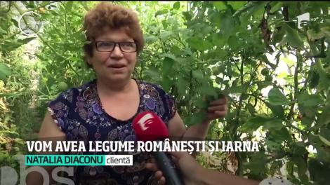 Vom găsi legume româneşti pe tarabe până în luna decembrie. Cum se explică recolta târzie de spanac, roşii şi ceapă