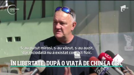 Cele două ursoaice care au trăit în condiţii deplorabile într-un circ din Ucraina au ajuns în România după un drum de aproape două zile