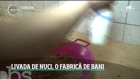 Livada de nuci, o fabrică de bani