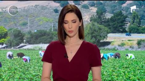 150 de români şi moldoveni sclavi, salvați din Spania. Pentru 200 de euro pe lună, munceau peste 12 ore pe zi