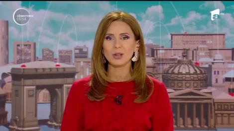 Calul, un animal de companie practic