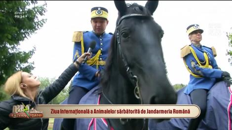 Ziua Internaţională a Animalelor e sărbătorită şi de Jandarmeria Română