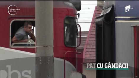 Mecanicii de locomotivă de la CFR, în pat cu gândacii. Cum arată spaţiile de odihnă din depouri