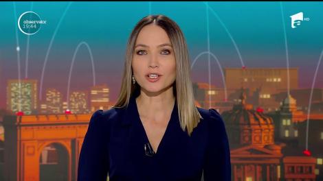 Un câine şi-a găsit rivalul: un alt câine de pluş. Bătălia se dă pentru atenţia stăpânului de doar un an