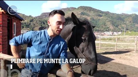 Centru de echitaţie destinat turiștilor care doresc drumeţii pe munte, la galop