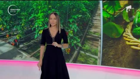 Veşti bune pentru fermieri! Ce subvenții pot primii cei care cultivă castraveţi, ardei şi vinete