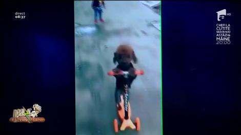 Smiley News - Neatza cu Răzvan și Dani. Câinele care ştie să meargă pe trotinetă