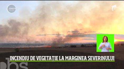 Puternic incendiu de vegetaţie în judeţul Mehedinţi. Salvatorii s-au luptat ore întregi cu focul izbucnit pe câmp, care ameninţa casele din apropiere