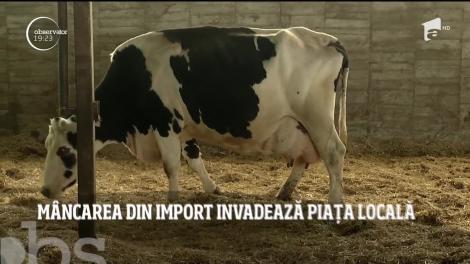 Avem un potenţial agricol legendar, dar mâncăm alimente aduse de la mii de kilometri