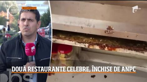 Două dintre cele mai cunoscute restaurante din nordul Capitalei au fost închise de inspectorii de la Protecţia Consumatorului!