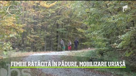 Misiune amplă de căutare într-o pădure din Neamţ! Un apel la 112 al unui bărbat speriat că soţia sa a dispărut în pădure a pus pe jar zeci de salvatori