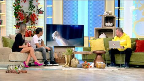 Papagalul acesta e senzație! A învățat „limbi străine”, ca să nu fie mâncat de pisici | VIDEO