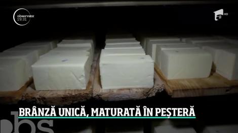 Cum se produce celebra brânză de Năsal