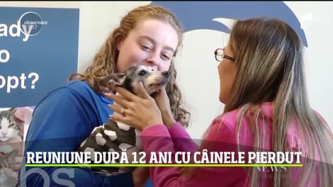 O femeie din SUA şi-a văzut câinele pentru prima dată la 12 ani după ce animalul s-a pierdut