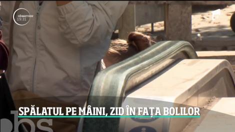 Spălatul pe mâini, zid în fața bolilor