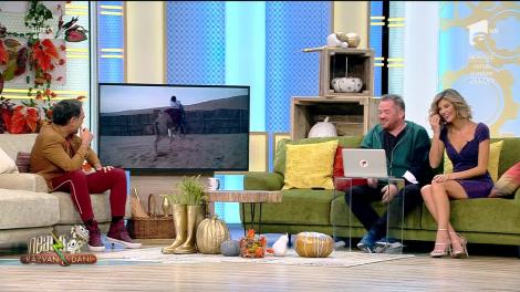 Smiley News - Neatza cu Răzvan și Dani. Au "cocoșat" cămila din cauza greutăţii