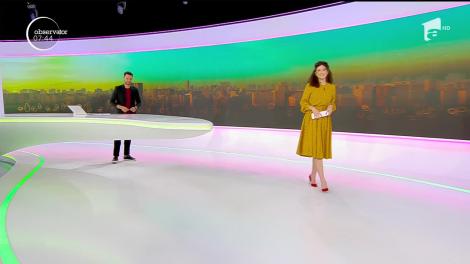 Una din cele mai îndrăgite poveşti ale copilăriei, "Doamna şi Vagabondul", revine pe micile şi marile ecrane