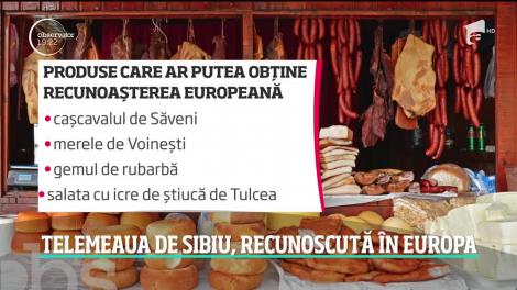Telemeaua de Sibiu, recunoscută în Europa