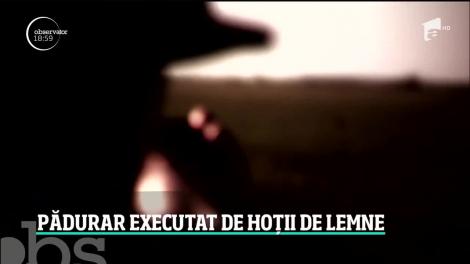 Legea junglei în pădurile României. Un pădurar, tată a trei copii, a fost executat cu sânge rece de hoţii de lemne