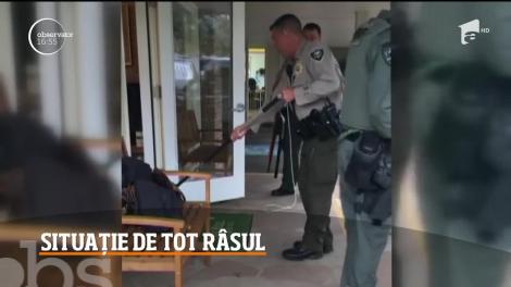 Un linx a intrat într-o școală din statul Oregon. Elevii au tras o sperietură zdravană