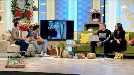 Smiley News - Neatza cu Răzvan și Dani. Ştiaţi că uliul negru foloseşte focul pentru a-şi prinde prada