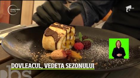 Vedetă în recolta toamnei şi scos în faţă mai ales acum, în prag de Halloween, dovleacul a fost în centrul atenţiei la Sibiu