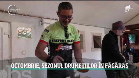 Toamna a colorat pădurile din Făgăraş