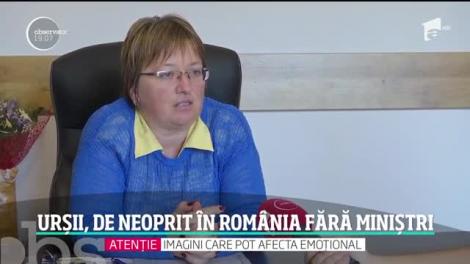 Noi imagini cu ursul care a atacat patru oameni în Braşov! Animalul e liber şi nimeni nu-l mai caută