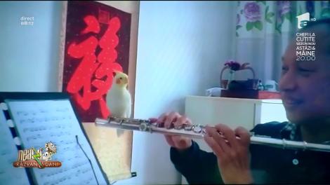Smiley News - Neatza cu Răzvan și Dani. Papagalul care cântă ca un flaut și papagalul care dezumflă cauciurile la mașină