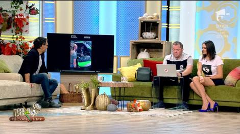 O intersecție din București, blocată de ambiția unei doamne grăbite! Femeia la volan versus tramvaiul. Cine a cedat?