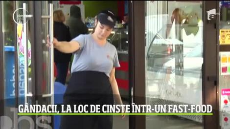 Câţiva gândaci nepoftiţi au pus lacătul pe uşa unui restaurant din Galaţi, ce aparţine unui important lanţ naţional de tip fast-food