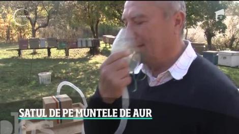 De pe mesele dacilor, în farfuriile chefilor! O veche reţetă ciobănească a câştigat teren în bucătăria românească