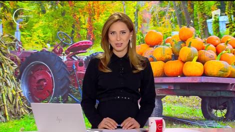 Zeci de personaje din desene animate decorează zilele acestea curtea unei grădiniţe din Deva!