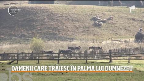 Fundătura Ponorului, un colţ de rai, ascuns în Munţii Şureanu