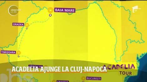 Acadelia Tour, explozie de lumină și culoare. Delia îi va ridica în picioare pe clujeni, la Sala Polivalentă