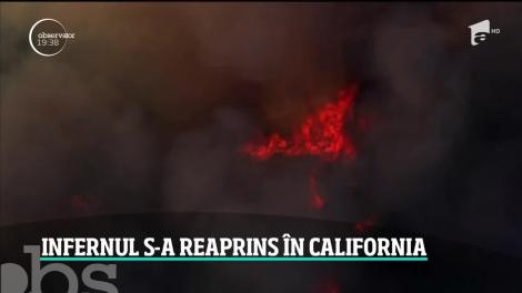 Incendiile de vegetaţie au pus din nou stăpânire pe California