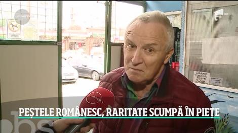 Peştele românesc a devenit o marfă rară. 80 la sută din peştele pe care îl mâncăm vine din import şi e congelat