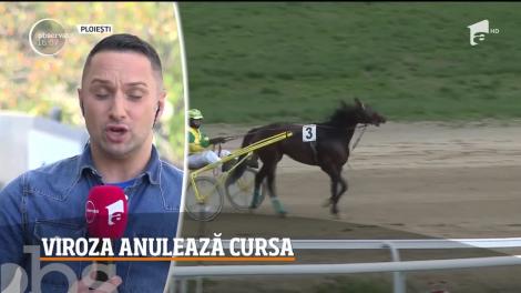 Cursa programată în acest weekend la Hipodromul din Ploieşti a fost anulată, din cauză că mulţi cai s-au îmbolnăvit